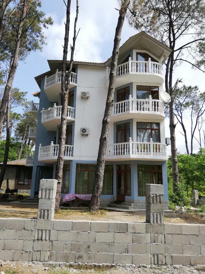 Hotel Shekvetili Shekhvetili Εξωτερικό φωτογραφία
