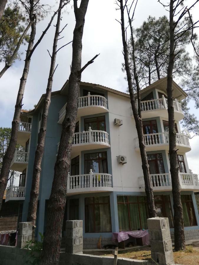 Hotel Shekvetili Shekhvetili Εξωτερικό φωτογραφία
